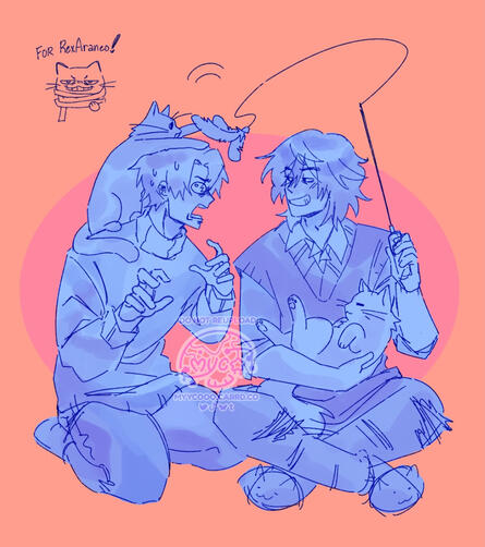 mnshin cats meowmewo